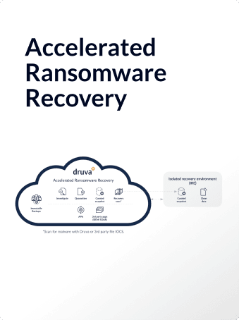 Accelerated Ransomware Recovery