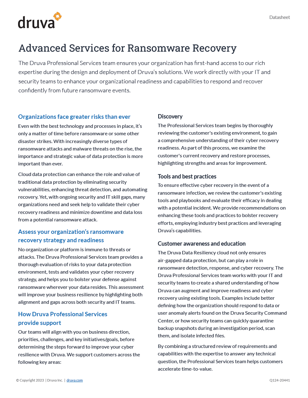 Advanced Services for Ransomware Recovery