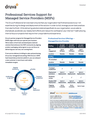 Professional Services Support for Managed Service Providers (MSPs)