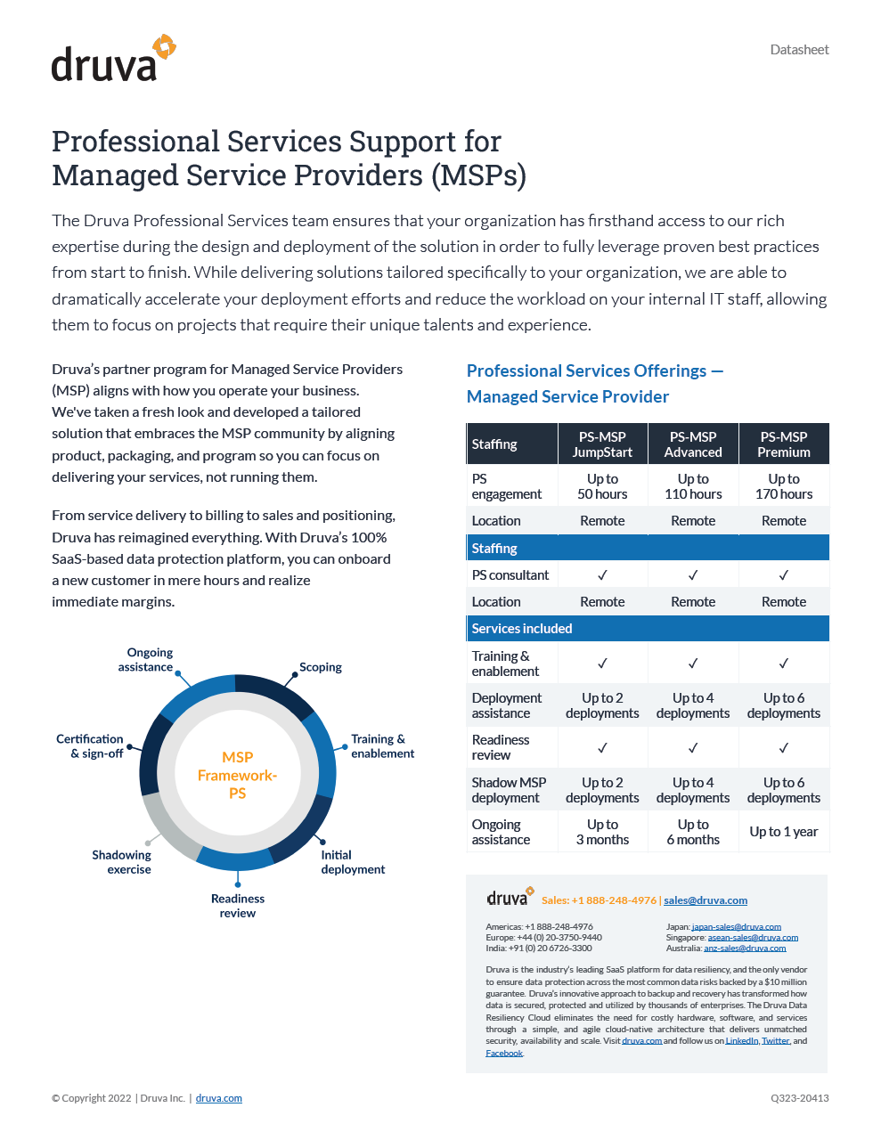 Professional Services Support for Managed Service Providers (MSPs)