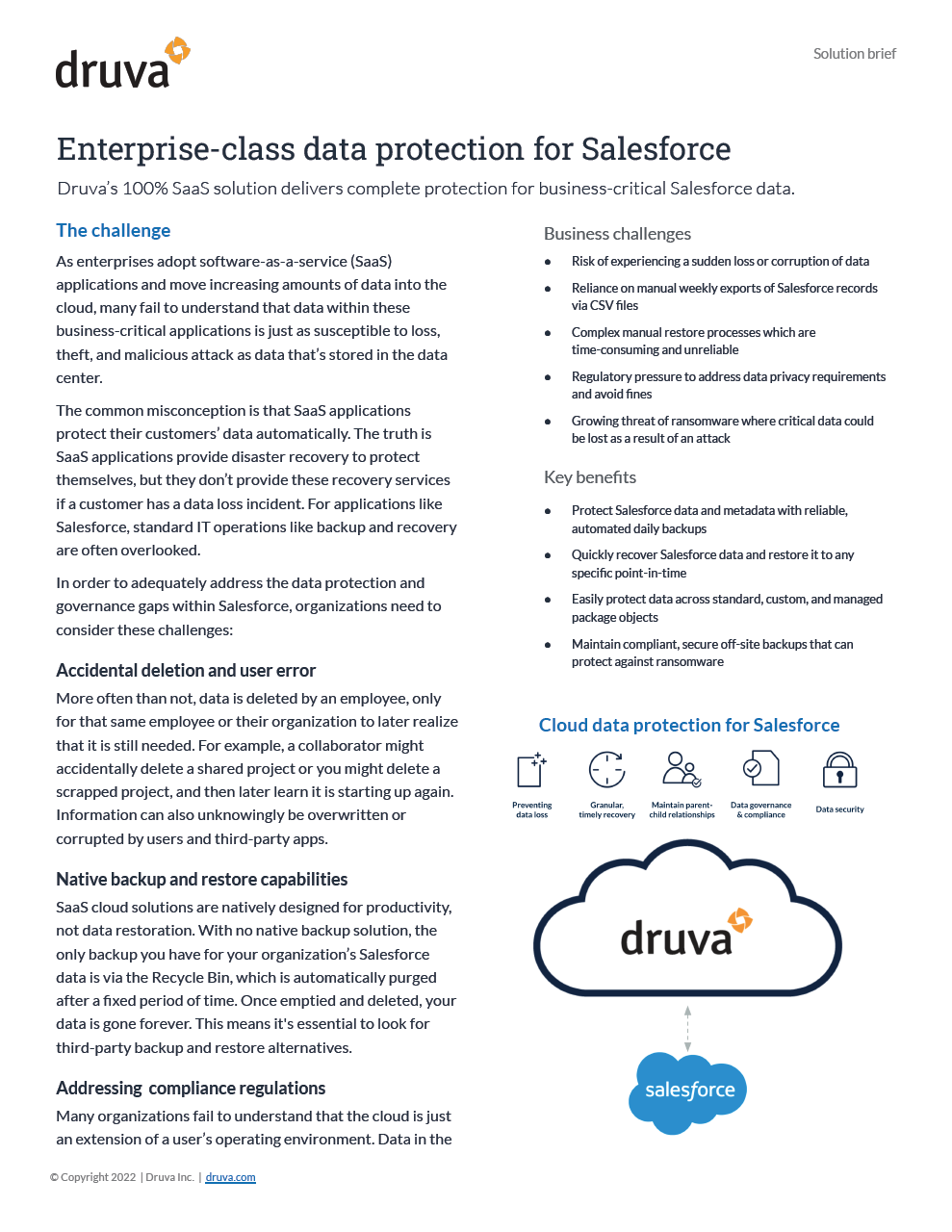 Enterprise-class data protection for Salesforce