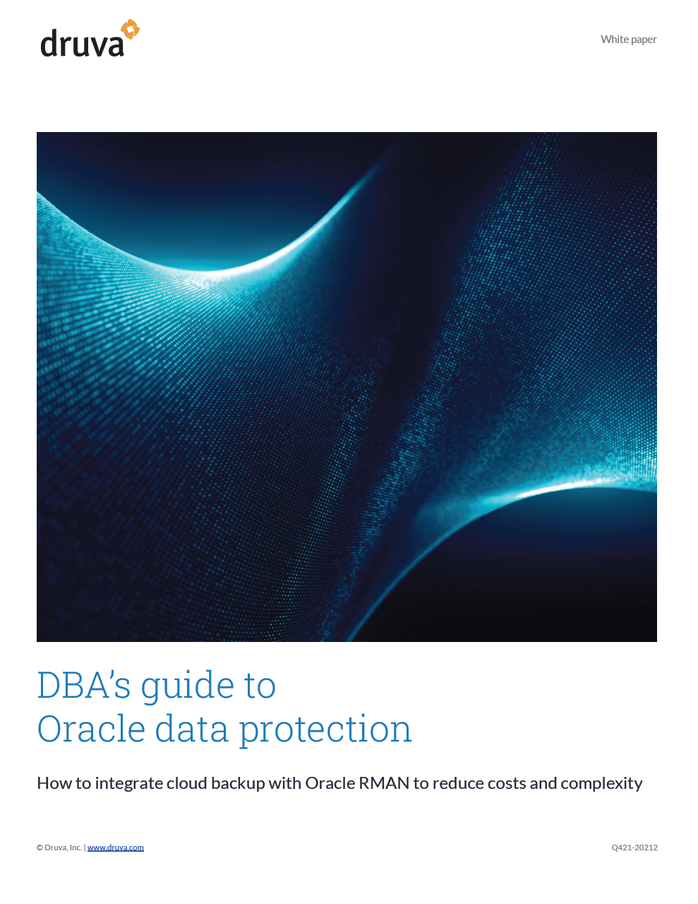 DBA's guide to oracle data protection